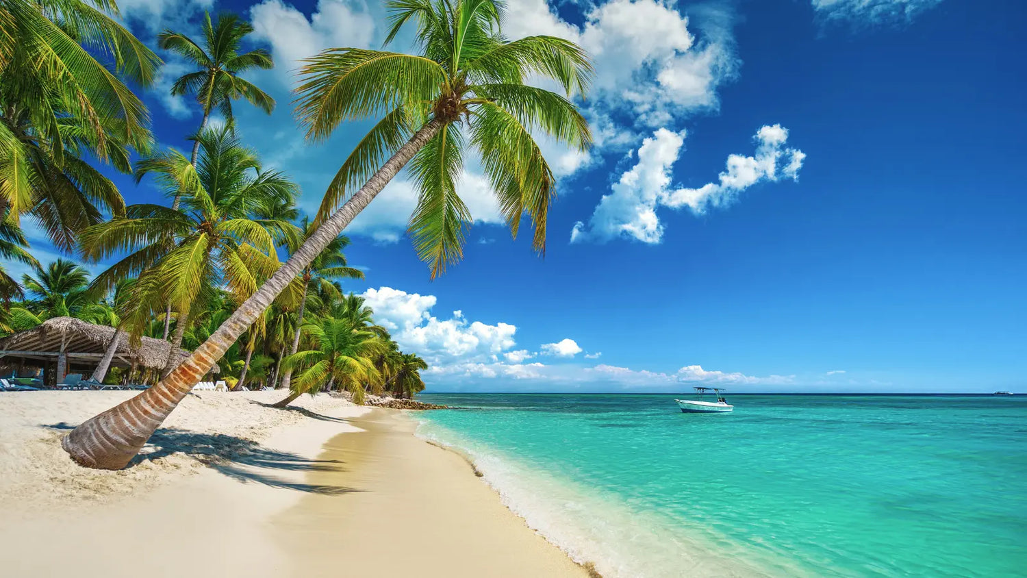 Dominican luxury candle inspired by Caribbean coastal landscapes - isla 84 NYC