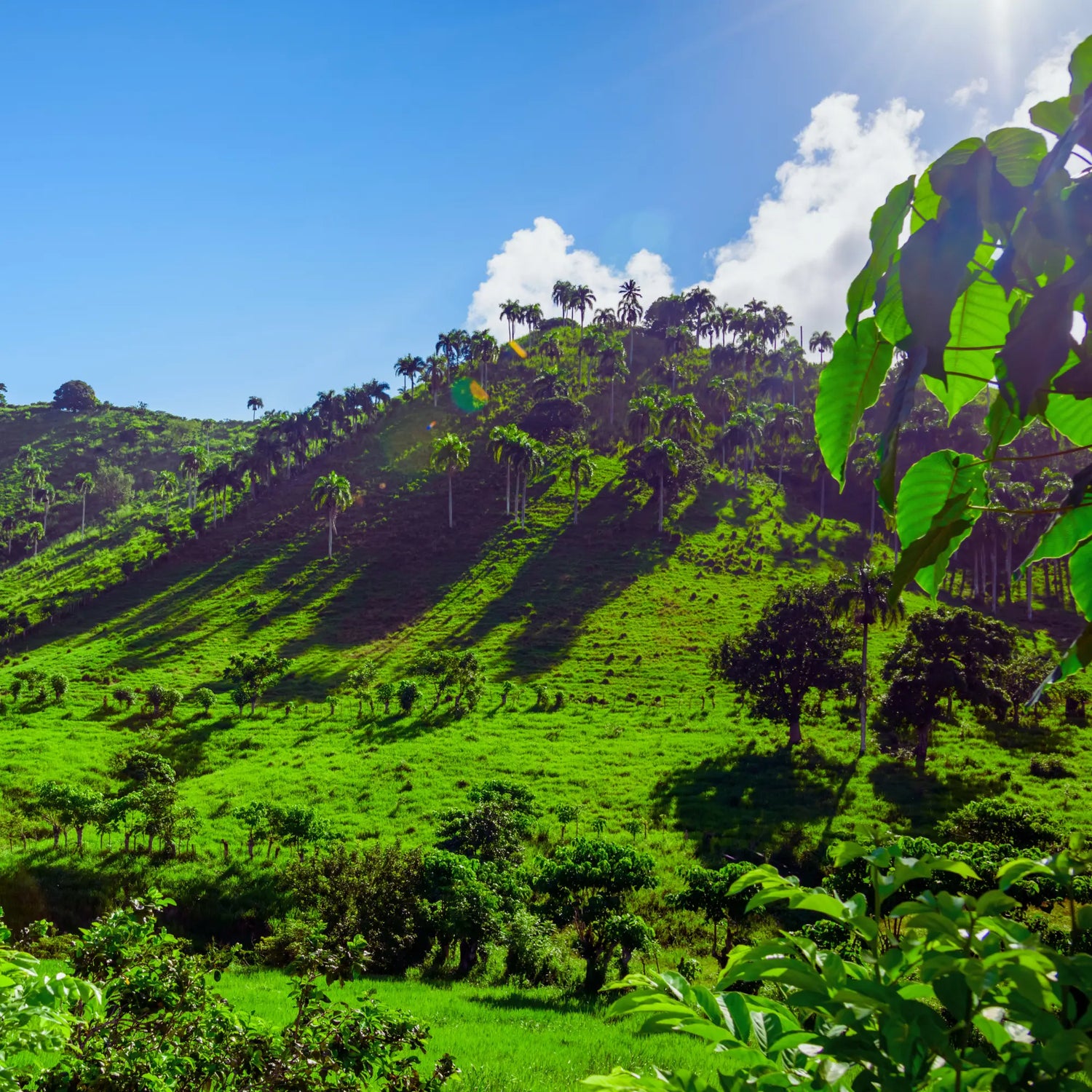 San Jose de las Matas (Sajoma)