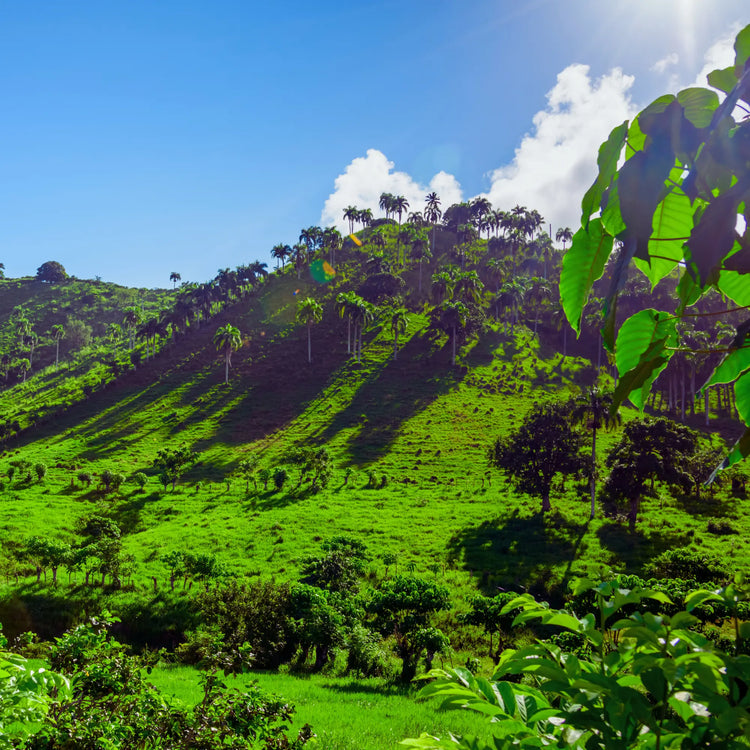 San Jose de las Matas (Sajoma)