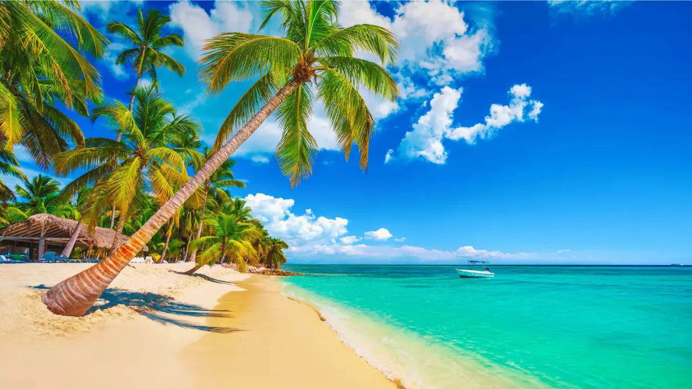 Tropical beach with palm trees, clear blue water, and a blue sky.